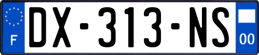 DX-313-NS