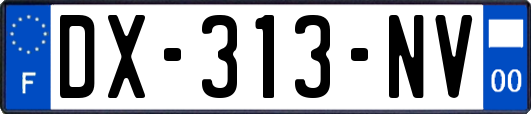 DX-313-NV