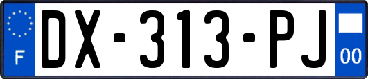 DX-313-PJ