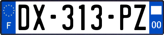 DX-313-PZ