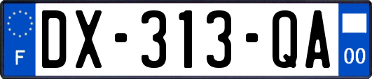 DX-313-QA