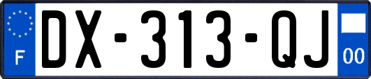 DX-313-QJ
