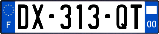 DX-313-QT