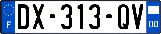 DX-313-QV