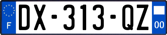 DX-313-QZ