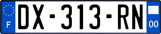DX-313-RN