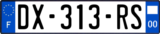 DX-313-RS