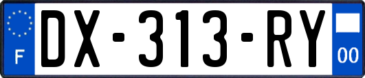 DX-313-RY