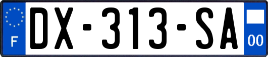 DX-313-SA