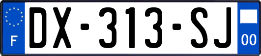 DX-313-SJ