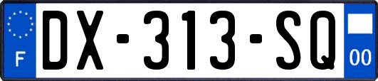DX-313-SQ