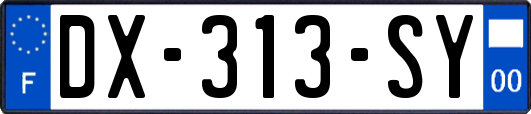 DX-313-SY