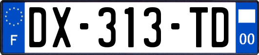 DX-313-TD