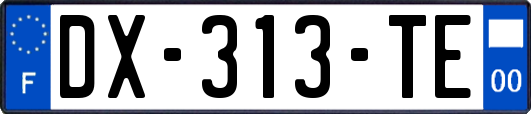 DX-313-TE