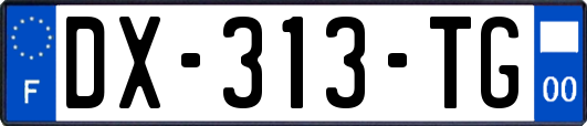 DX-313-TG