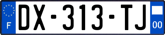 DX-313-TJ