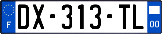 DX-313-TL