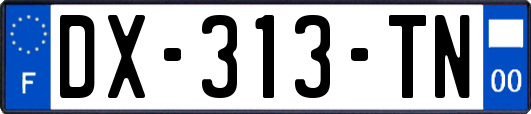 DX-313-TN