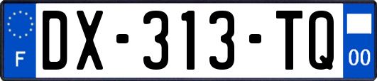 DX-313-TQ