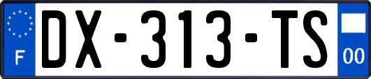 DX-313-TS