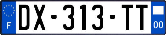 DX-313-TT