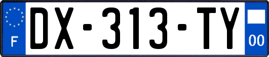 DX-313-TY
