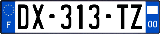 DX-313-TZ