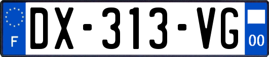 DX-313-VG