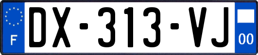 DX-313-VJ