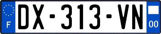 DX-313-VN