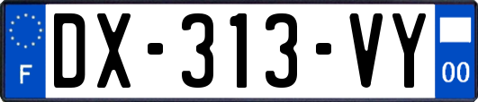 DX-313-VY