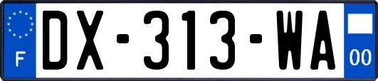 DX-313-WA