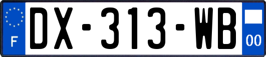 DX-313-WB