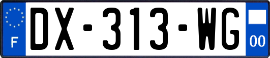 DX-313-WG