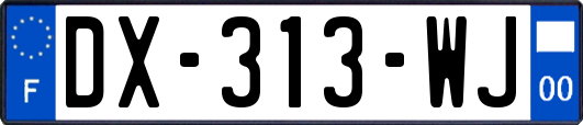 DX-313-WJ