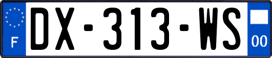 DX-313-WS