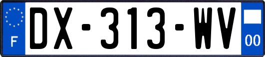 DX-313-WV