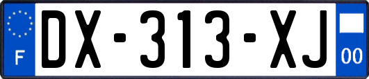 DX-313-XJ