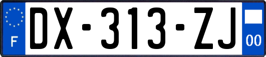 DX-313-ZJ