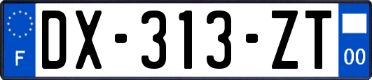 DX-313-ZT