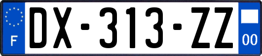 DX-313-ZZ