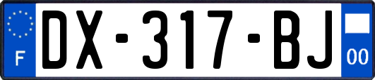 DX-317-BJ