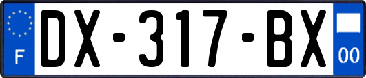 DX-317-BX