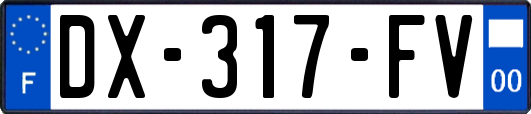 DX-317-FV
