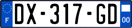 DX-317-GD