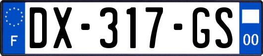 DX-317-GS