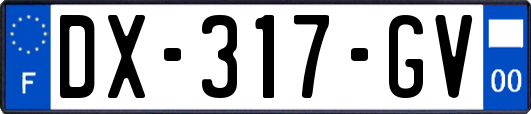 DX-317-GV