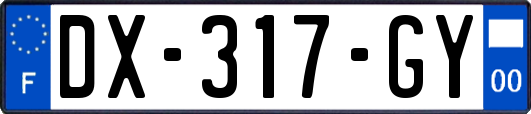 DX-317-GY