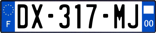 DX-317-MJ