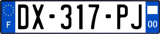 DX-317-PJ
